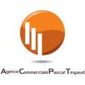 Logo Agence Commerciale Pascal Tingaud
