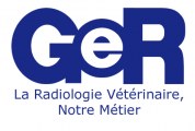 Logo Ger International