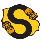 Logo Sirflex Oi