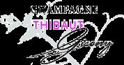 logo Champagne Thibaut Gisony