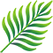 logo Macchja E Macchjione