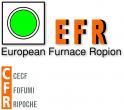 Logo European Furnace Ropion Sas 