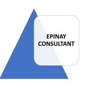 logo Epinay Consultant