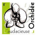 L'audacieuse Orchidee