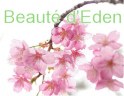 logoBEAUTE D'EDEN Niort