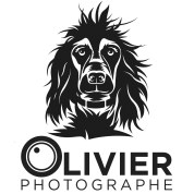 logo Olivier Desaleux