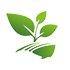 logo Cosseron Services