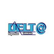 logo Delta Expertise