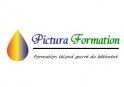 Pictura Formation