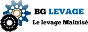 Logo Bg Levage