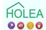 logo Sasu Holea Services