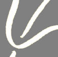 logo Fradet David