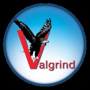 logo Valgrind