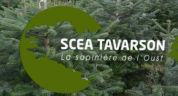 logo Scea Tavarson