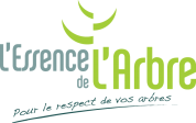 logo L'essence De L'arbre