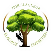 logo Noe Elagueur