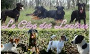 logo élevage Du Clos Des Loutres