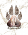 logo Of The Huskies Paradise Pond