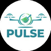 logo Pulse