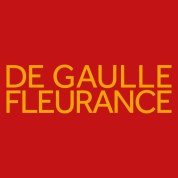 logo De Gaulle Fleurance And Associes