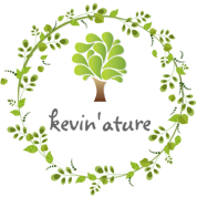 logo Kevin'ature