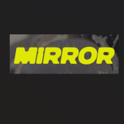 logo Fg Mirror