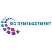 logo Big Déménagement