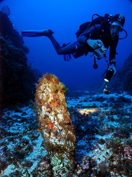 Grande Nacre CARGESUB 2009 cargèse