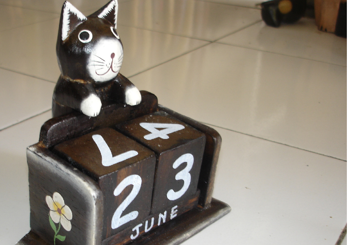 Chat calendrier