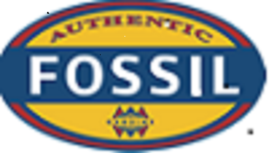 Fossil Distributeur