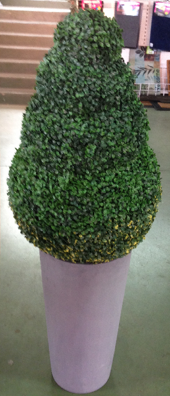 buis colonne