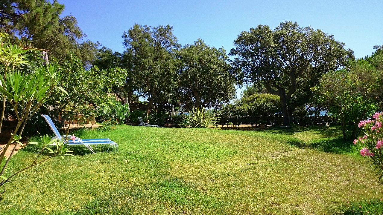 Vue jardin