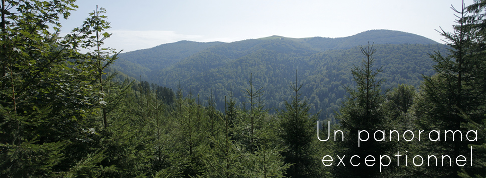Votre terrain à bâtir dans les Hautes-Vosges