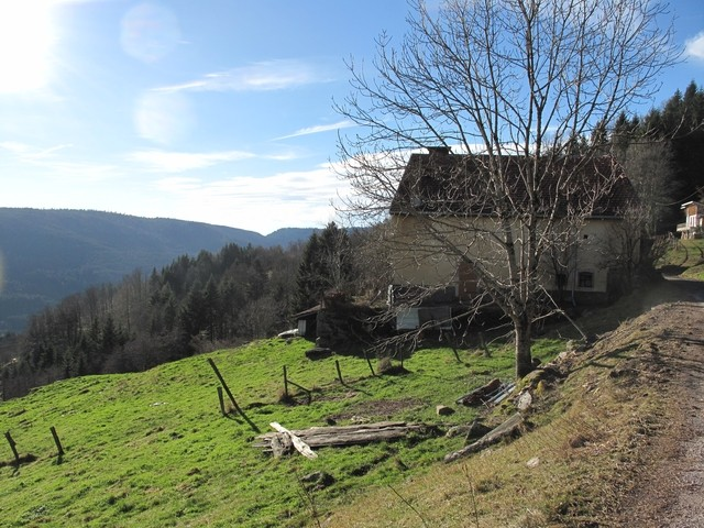 Ferme à rénover dans les HAUTES-VOSGES