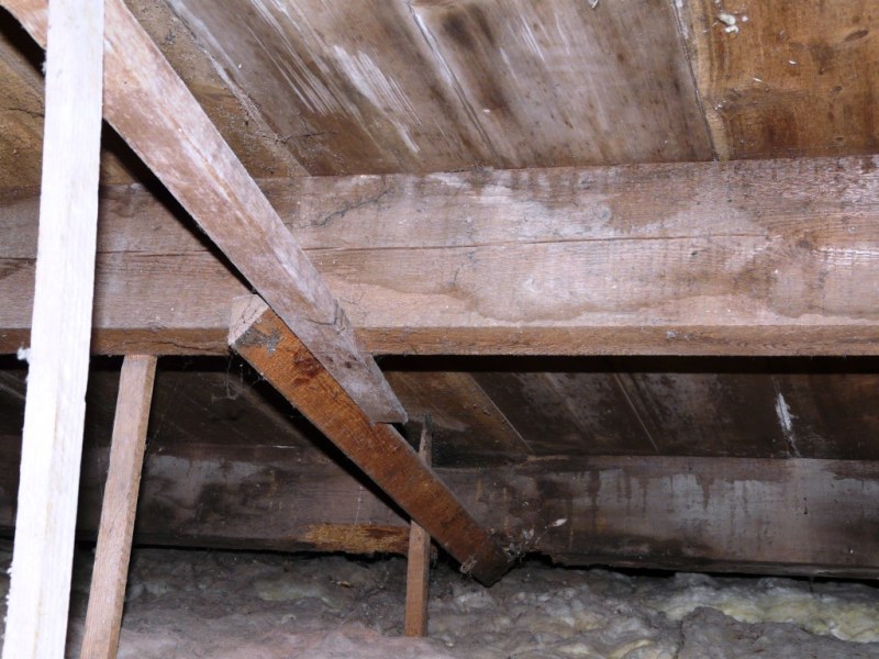 BATIMMEXPERT-Expert_bâtiment-Expert_bois-Expert_ construction-Panne_dégradée_par_une_infiltration_en_couverture