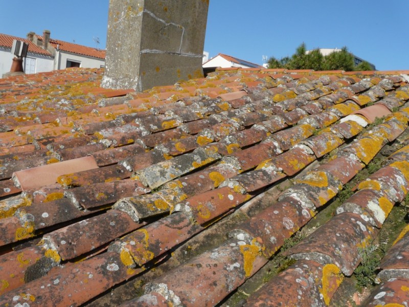 BATIMMEXPERT-Expertise_avant_achat_immobilier-Couverture_tuiles_et_souche_de_cheminée_fortement_dégradées