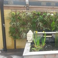MUR VEGETAL ZEN