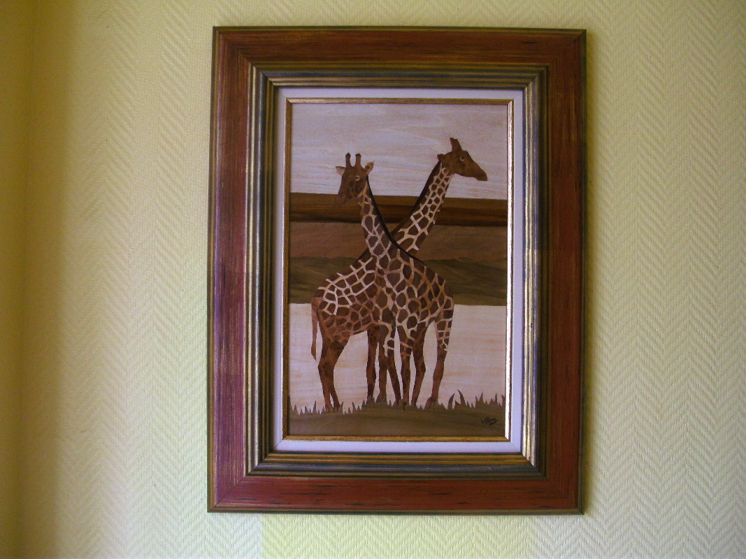 Les girafes ( format hors cadre 41 x 27 ) : 270 ¤
