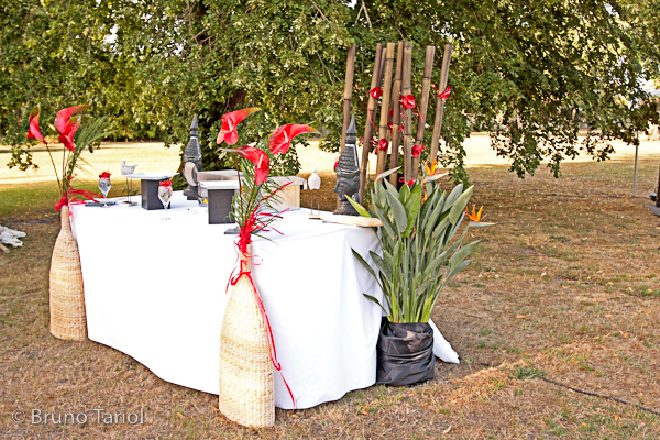 DÉCOR COCKTAIL BUFFET EXTERIEUR