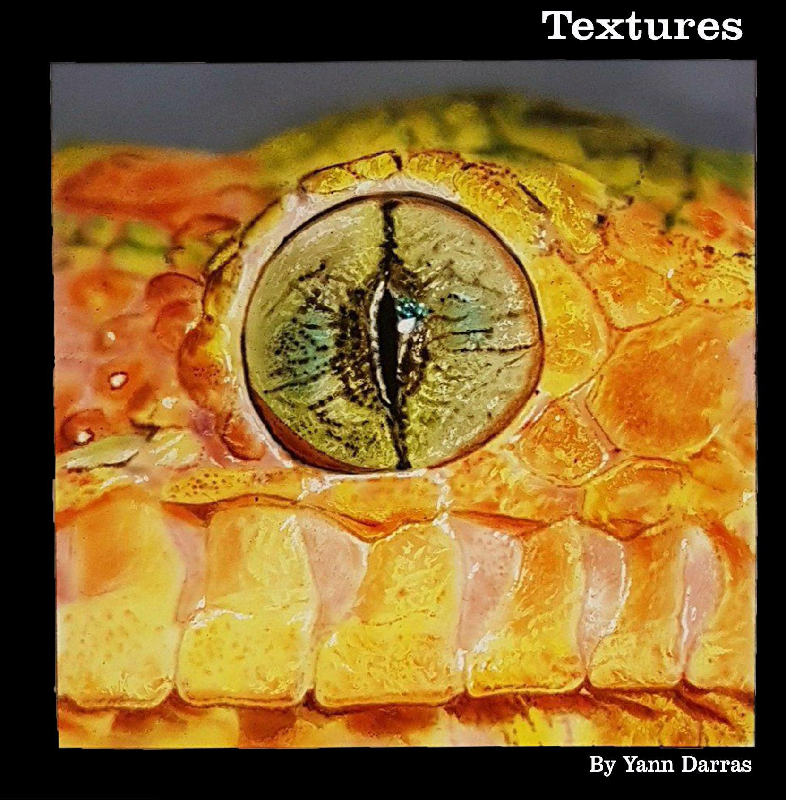 Réalisation de plusieurs textures