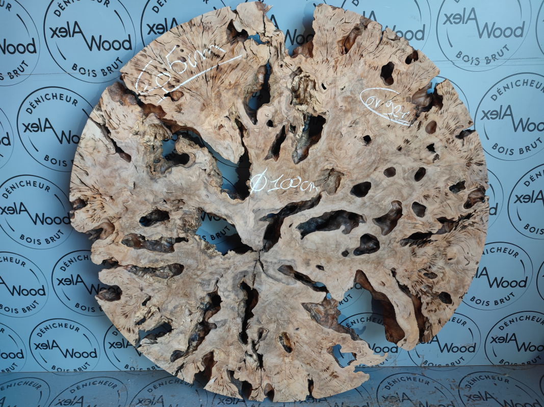 Racine boiq d'olivier pour décoration intérieur et projet résine époxy - AlexWood - Toulouse