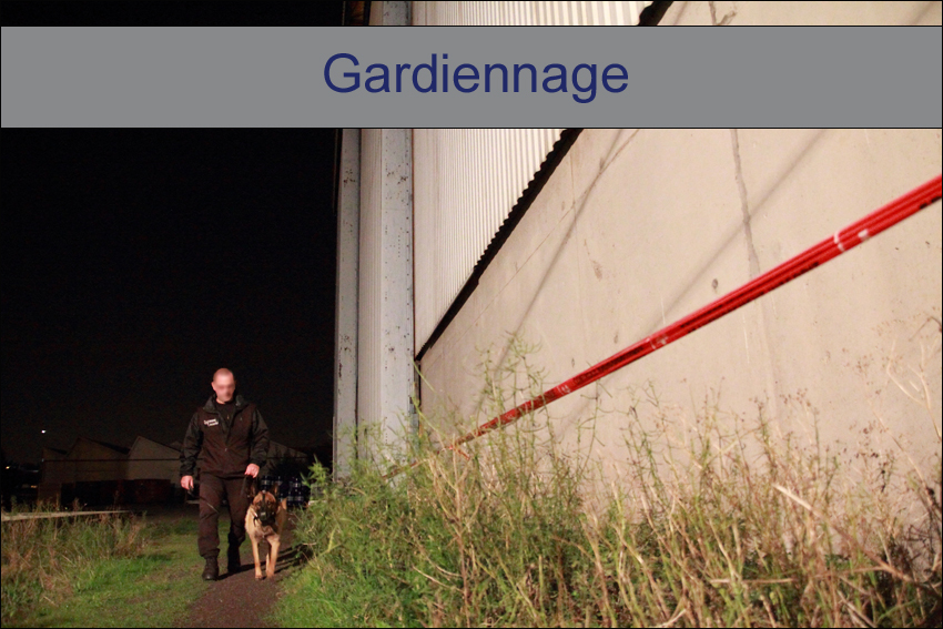 Gardiennage Nantes 44