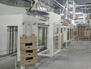 Convnoyeur aérien chargement automatique piles carton sur balancelle
