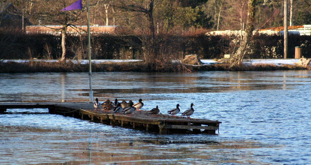 Dossier de déclaration au titre de la loi sur l'eau