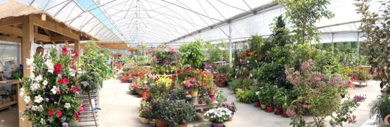 L'entrée du magasin